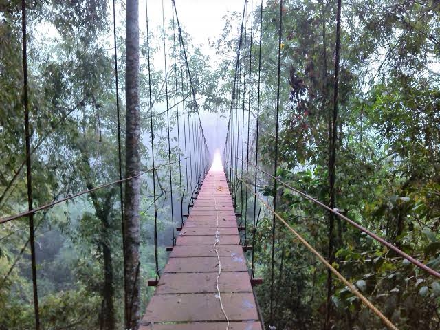 Cinchona Forest Reserve